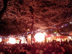 靖国神社桜まつり2018の日程！見頃や桜の種類は？屋台情報も！